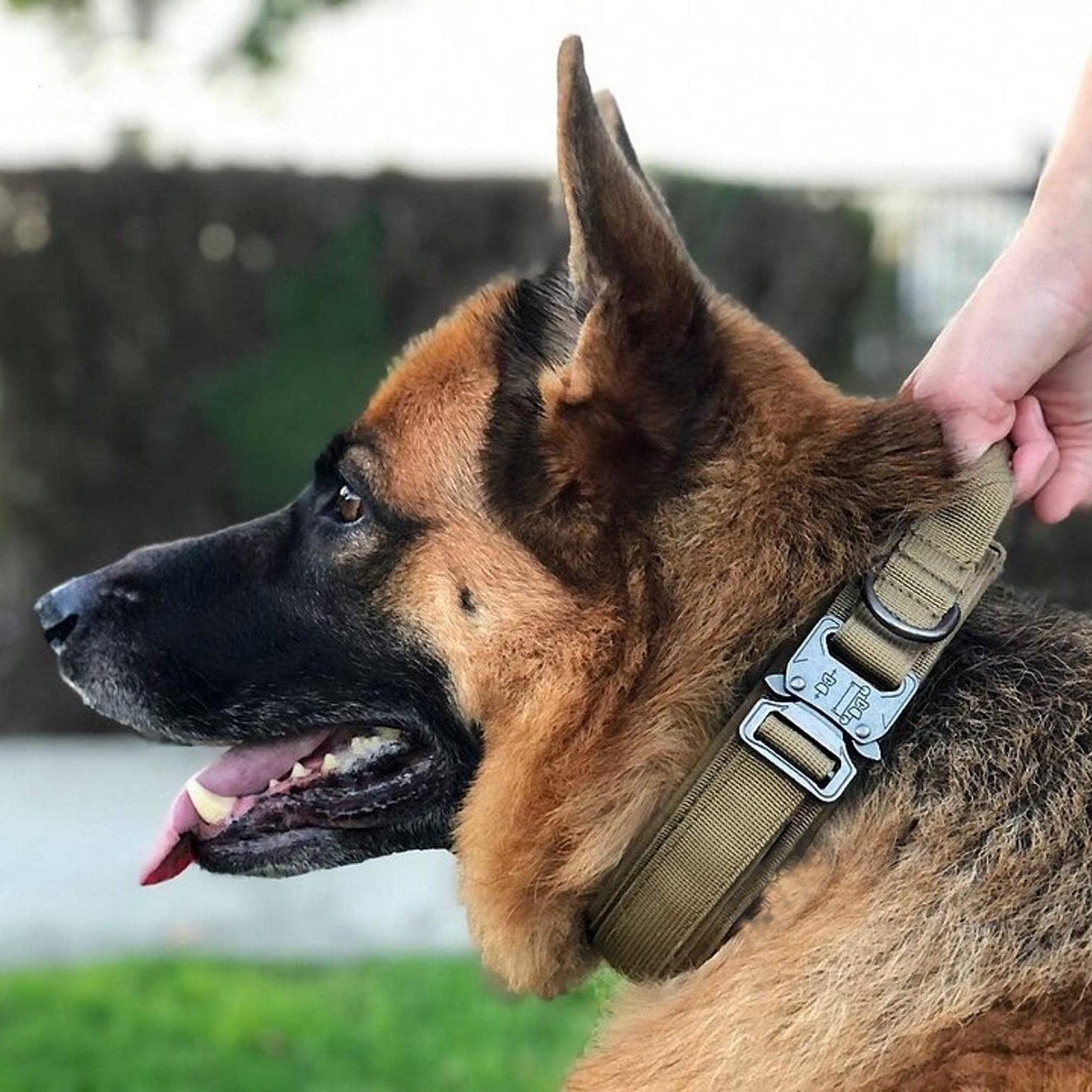 Heavy-Duty Tactical Dog Collar for Medium to Large Breeds - Golden Hair De Mu