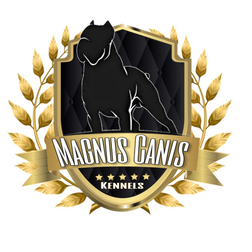 Magnus Canis Kennels